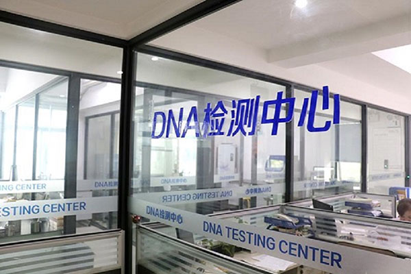 ̨޴DNAӼ